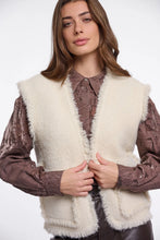 Load image into Gallery viewer, Vita Birch Knit Waistcoat

