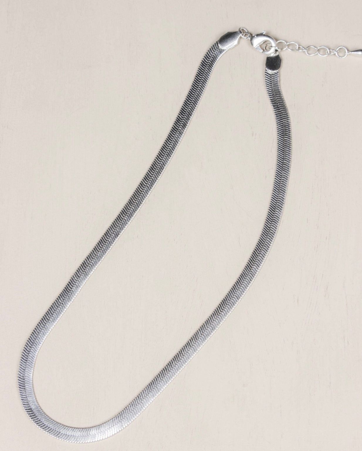 Celine  snake Silver Necklace